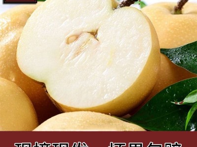 山东莱阳秋月梨水果4.5斤梨子新鲜斤当季甜雪梨丰水冰糖梨整箱图3