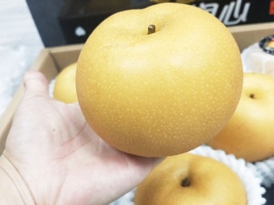 山东莱阳秋月梨水果4.5斤梨子新鲜斤当季甜雪梨丰水冰糖梨整箱图4