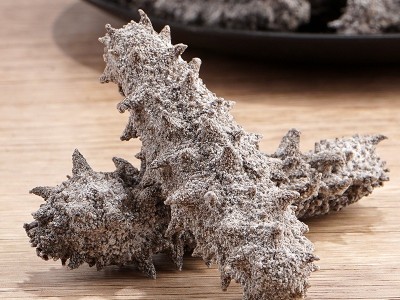 底播胶东老淡干海参 传统工艺干货批发50g-500g高泡发 非即食海参图3