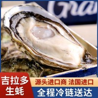 吉拉多法国进口生蚝产地批发海鲜鲜活生蚝大量批发水产大生蚝即食