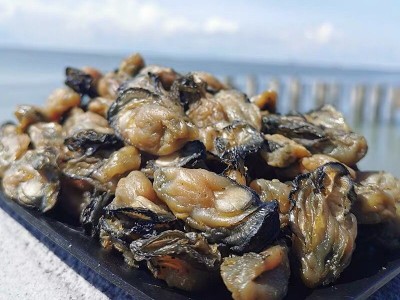 福建东山岛牡蛎肉生蚝干淡晒无沙海蛎子淡菜蚝豉干海鲜干货海产品图2