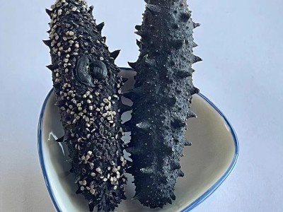大连野生刺参辽刺参鲜食海参淡干海参非即食干货图4