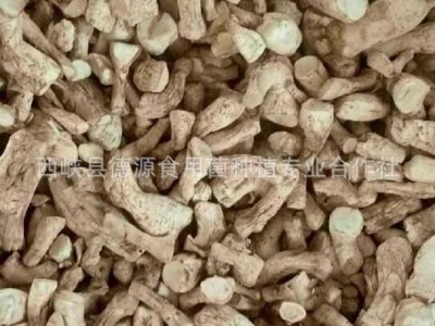 1号西峡双剪精选香菇脚冬菇腿菇根菇柄菇把食品厂专用大量批发图3