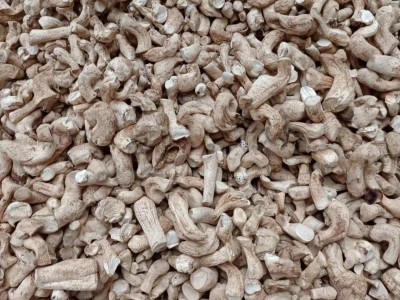 活动1号西峡双剪香菇腿中菇脚食品厂专用批发图5