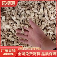 1号双剪香菇脚香菇腿25KG丝柄把大量批发DRIED MUSHROOM STEM冬菇