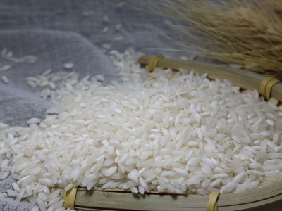 大米批发万佳谷物长早籼米便宜大米食堂用米饭店供应大米50斤装图2