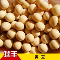 批发东北黄豆大豆农家自产黄豆榨豆浆生豆芽豆腐散装五谷杂粮黄豆