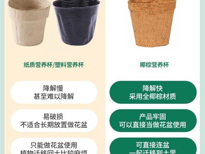 椰棕育苗盆营养杯 绿植生长盆园艺用品可移植直接入土椰棕花盆图4