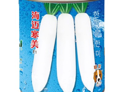 厂家蔬菜种子批发海迈韩国萝卜种子海迈春白萝卜种子长萝卜种子图3