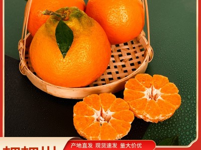 四川中江春见耙耙柑粑粑柑橘子甜当季整箱新鲜水果桔子包邮甜美图1