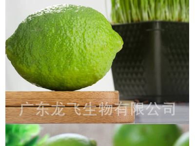 龙飞青柠 有机种植柠檬图3