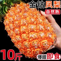 海南金钻凤梨新鲜水果当季应季正宗特级菠萝手撕10斤大果整箱特产