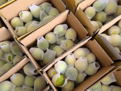 海南黄金百香果 钦蜜九号 蜂蜜百香果，纯甜可空口吃图4
