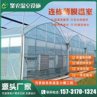 薄膜连栋温室 连体温室外遮阳连栋棚温室大棚工程建设大棚管厂家