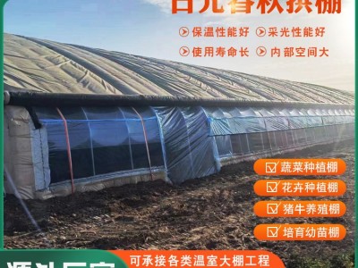 农用温室大棚厂家 农业蔬菜花卉种植棚椭圆管拱棚现货批量生产图3