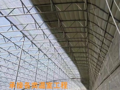 农用温室大棚厂家 农业蔬菜花卉种植棚椭圆管拱棚现货批量生产图5