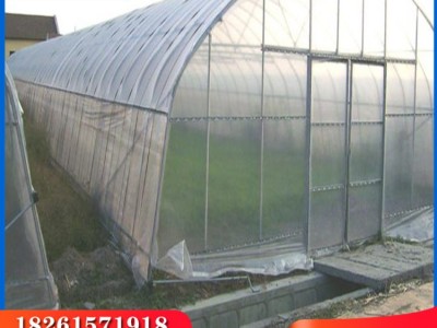农业种植棚插地大棚热镀锌单体大棚蔬菜温室棚架厂家现货跨境出口图1