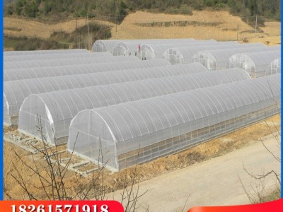 现货供应蔬菜大棚骨架连栋温室大棚材料热镀锌大棚材料出口非洲图3