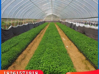 现货供应蔬菜大棚骨架连栋温室大棚材料热镀锌大棚材料出口非洲图5