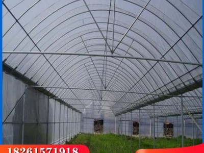 现货供应蔬菜大棚骨架连栋温室大棚材料热镀锌大棚材料出口非洲图4