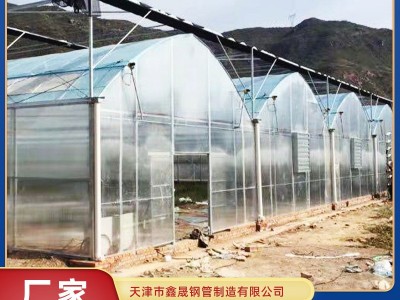 温室大棚厂家来图定制安装 蔬菜种植棚 农作物养殖大棚按需加工图5