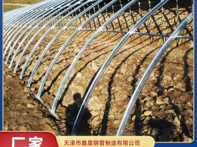 温室大棚厂家来图定制安装 蔬菜种植棚 农作物养殖大棚按需加工图4
