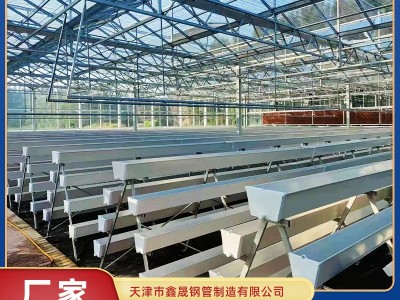 温室大棚厂家来图定制安装 蔬菜种植棚 农作物养殖大棚按需加工图3