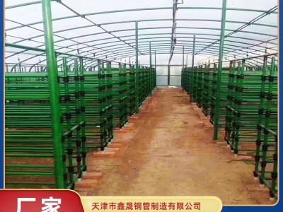 包塑棚厂家安装 羊棚、鸡棚、鱼棚、虾棚 农用家用动物水产养殖棚图2