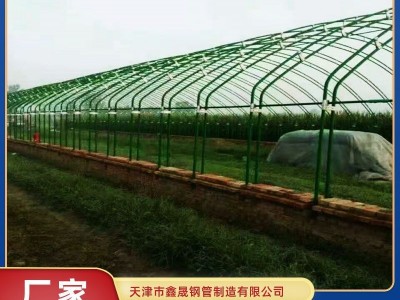 包塑棚厂家安装 羊棚、鸡棚、鱼棚、虾棚 农用家用动物水产养殖棚图3