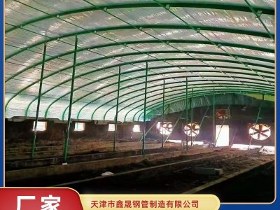 包塑棚厂家安装 羊棚、鸡棚、鱼棚、虾棚 农用家用动物水产养殖棚图4