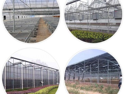 天津大棚厂家设计安装农用育苗棚 冬季日光暖棚 反季节种植大棚图5