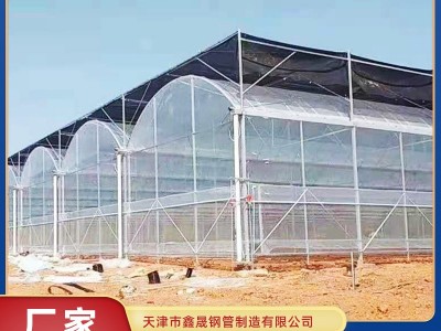 天津大棚厂家设计安装农用育苗棚 冬季日光暖棚 反季节种植大棚图2