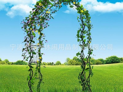 园艺拱形花架支架爬藤架 婚庆气球门拱门花园阳台花卉葡萄爬藤架图5