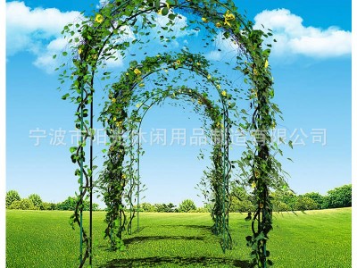 园艺拱形花架支架爬藤架 婚庆气球门拱门花园阳台花卉葡萄爬藤架图3