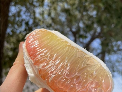 柚子新鲜多汁柚子功夫泰柚新鲜水果进口金蜜柚西柚泰国蜜柚32斤装图3