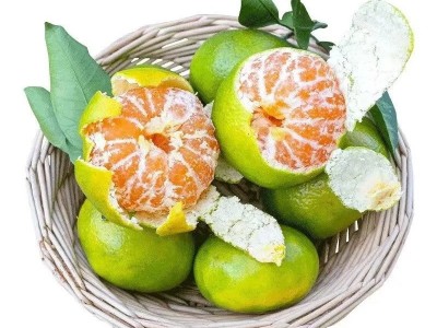 云南青皮蜜桔蜜橘新鲜当季水果橘子酸甜产地直发一件代发图5