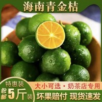 小金桔海南青金桔小青柠新鲜水果奶茶店专用整箱包邮量大从优包邮