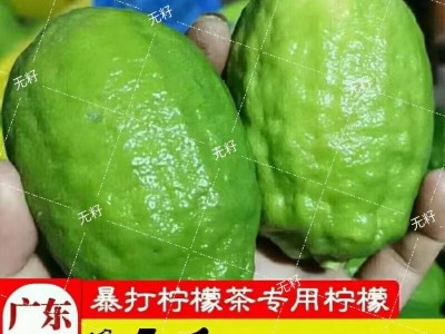 海南香水柠檬新鲜现摘柠檬零售批发无籽清香味包邮奶茶饮品店专用图1
