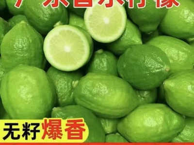 海南香水柠檬新鲜现摘柠檬零售批发无籽清香味包邮奶茶饮品店专用图3