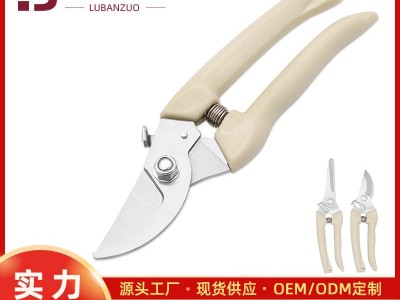 厂家批发乌嘴果枝剪 粗枝盆栽剪刀 园林园艺修枝剪刀图2