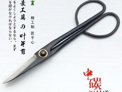 厂家批发园艺尖头剪刀 3007盆景 叶芽剪 树芽剪 园艺工具修枝剪图2
