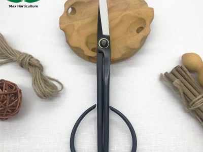 厂家批发园艺尖头剪刀 3007盆景 叶芽剪 树芽剪 园艺工具修枝剪图5