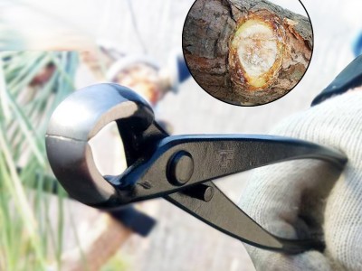 盆景造型工具球节剪球形钳园艺修花剪 210球节剪 树瘤树节修剪钳图5