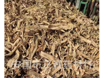 批发冷背中药材榆白皮榆根皮榆皮榆树皮中药材榆树皮老榆皮榆白皮图5