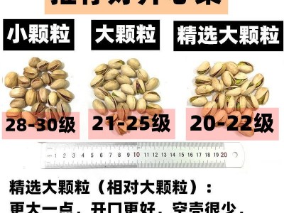 开心果500g散装批发干果年货零食大礼包原味坚果炒货厂家休闲食品图2