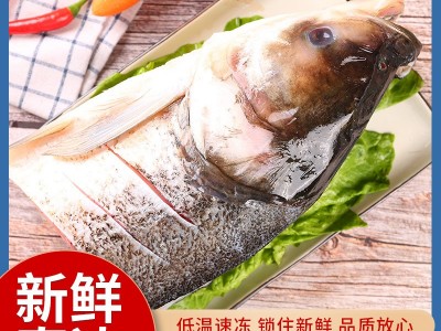 厂家批发新鲜大鲢鱼头白鲢鱼胖头鱼鱼头鲢花鳙鱼大头鱼剁椒鱼头图1
