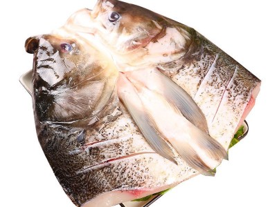 厂家批发新鲜大鲢鱼头白鲢鱼胖头鱼鱼头鲢花鳙鱼大头鱼剁椒鱼头图5