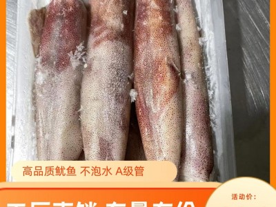 东山鱿鱼野生海兔电商酒楼可用400g净重大量库存可定规格一手厂家图2