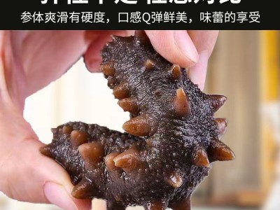 玺海潮厂家批发即食海参鲜食海参辽刺参非淡干海参干货批发代发图4
