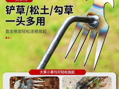 锄头除草神器拔草耙子连根野菜铲子多功能不锈钢除草工具园 艺松土图4